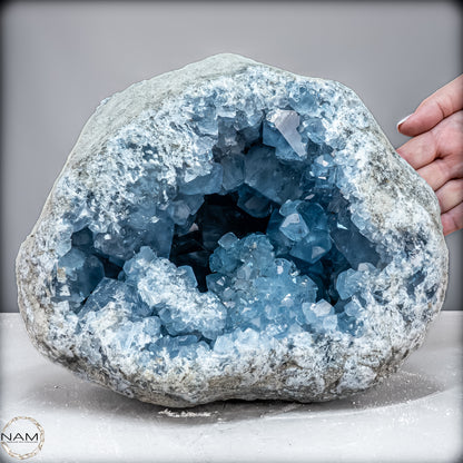Natürliche Celestit Kristall-Druse - 11469,33 g