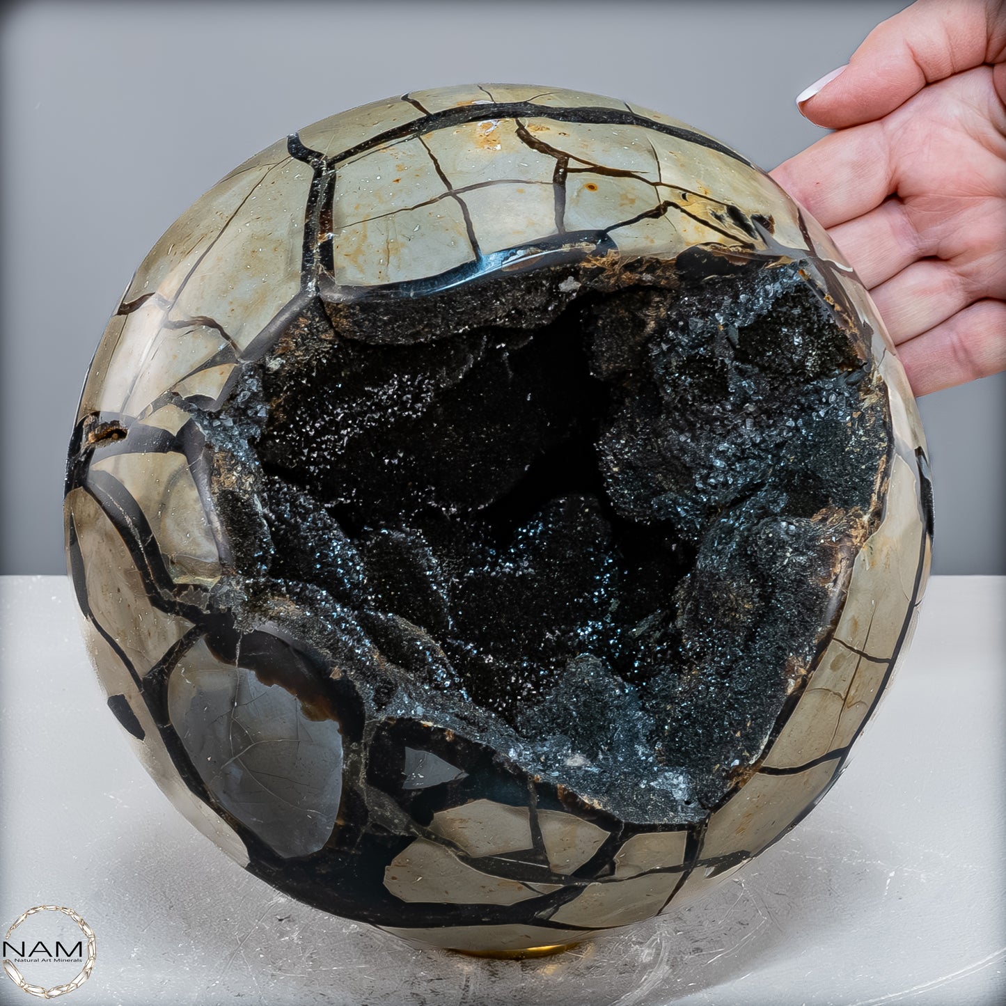 Natürliche Septarien Druse-Kugel mit Calzit Kristallen - 8026,93 g