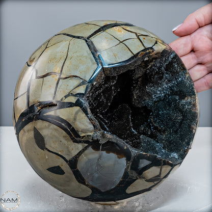 Natürliche Septarien Druse-Kugel mit Calzit Kristallen - 8026,93 g