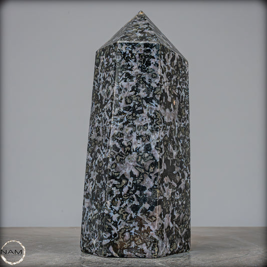 Natürlicher Merlinit (Gabbro) Kristall Obelisk - 2500,93g