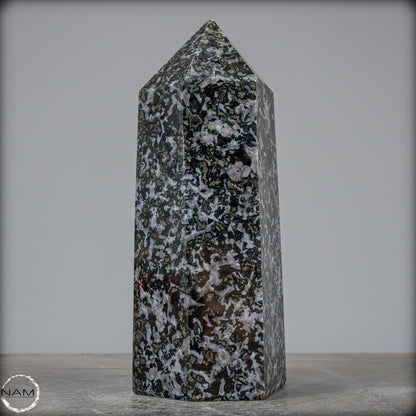 Natürlicher Merlinit (Gabbro) Kristall Obelisk - 2500,93g