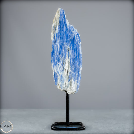 Natürlicher Kyanit-Kristall Cluster auf Ständer aus Brasilien - 487,11g