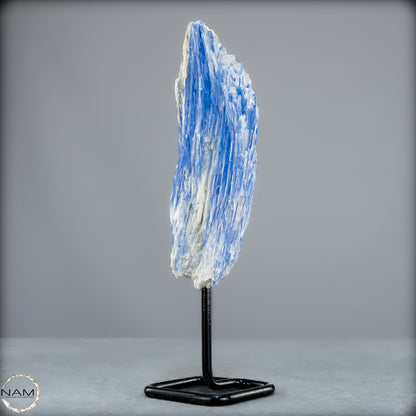 Natürlicher Kyanit-Kristall Cluster auf Ständer aus Brasilien - 487,11g