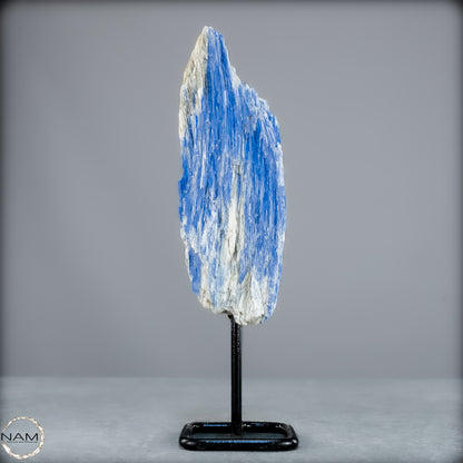 Natürlicher Kyanit-Kristall Cluster auf Ständer aus Brasilien - 487,11g
