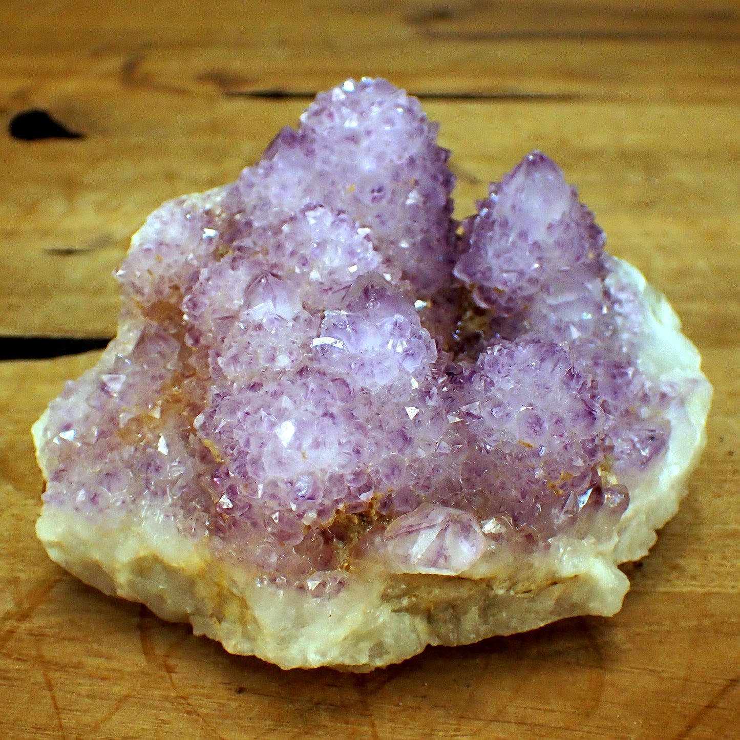 Kaktus-Amethyst aus Südafrika - 857,72g - 125 x 122 x 73 mm