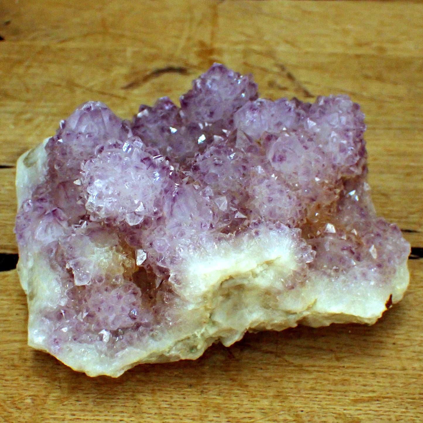 Kaktus-Amethyst aus Südafrika - 857,72g - 125 x 122 x 73 mm