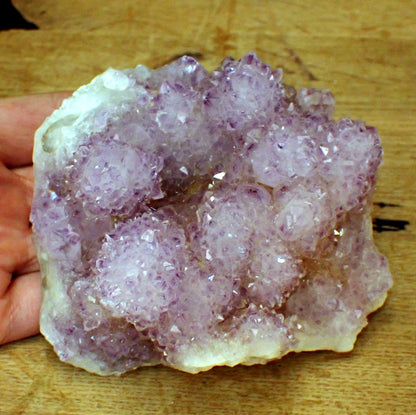 Kaktus-Amethyst aus Südafrika - 857,72g - 125 x 122 x 73 mm