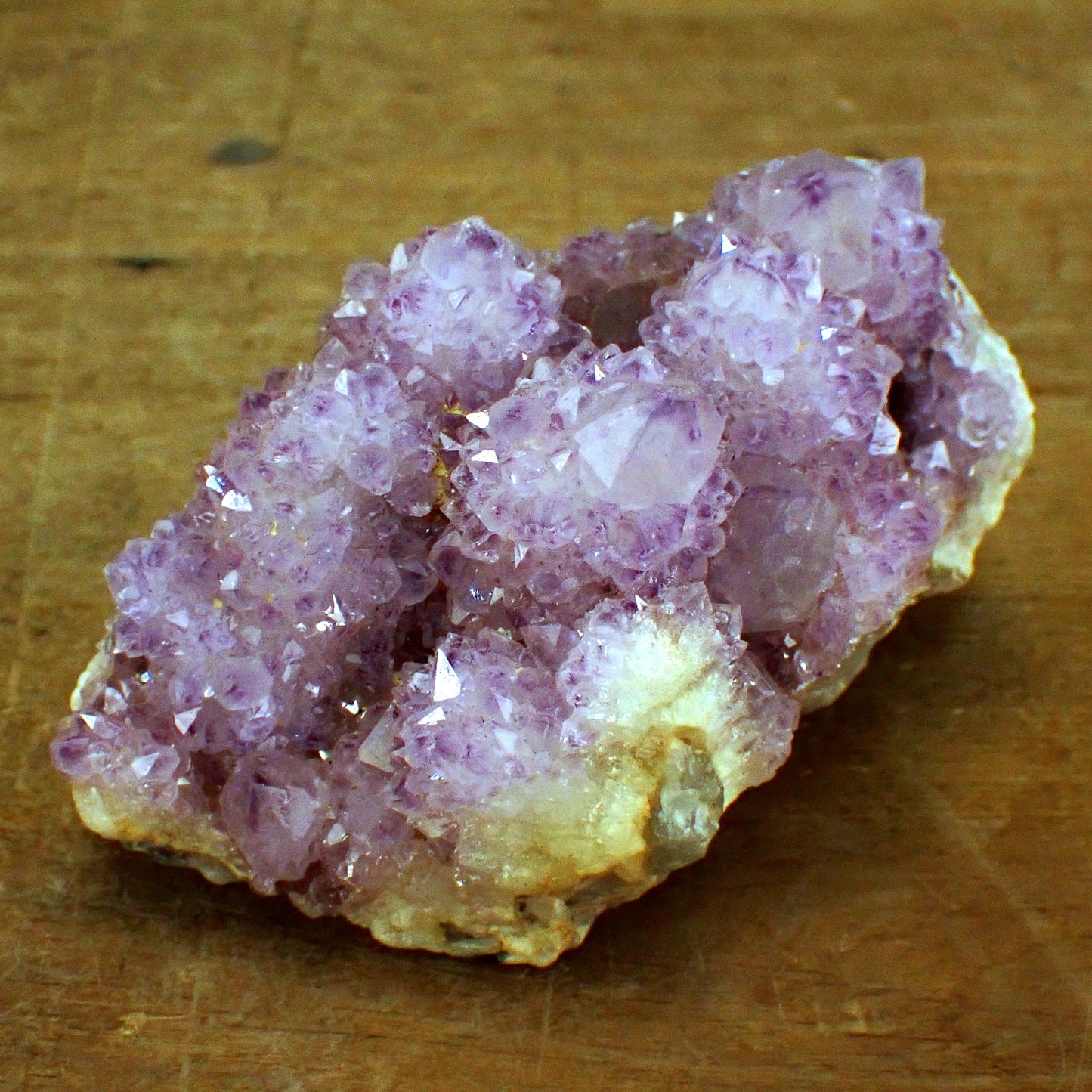 Kaktus-Amethyst aus Südafrika - 503,12g - 120x70x60mm