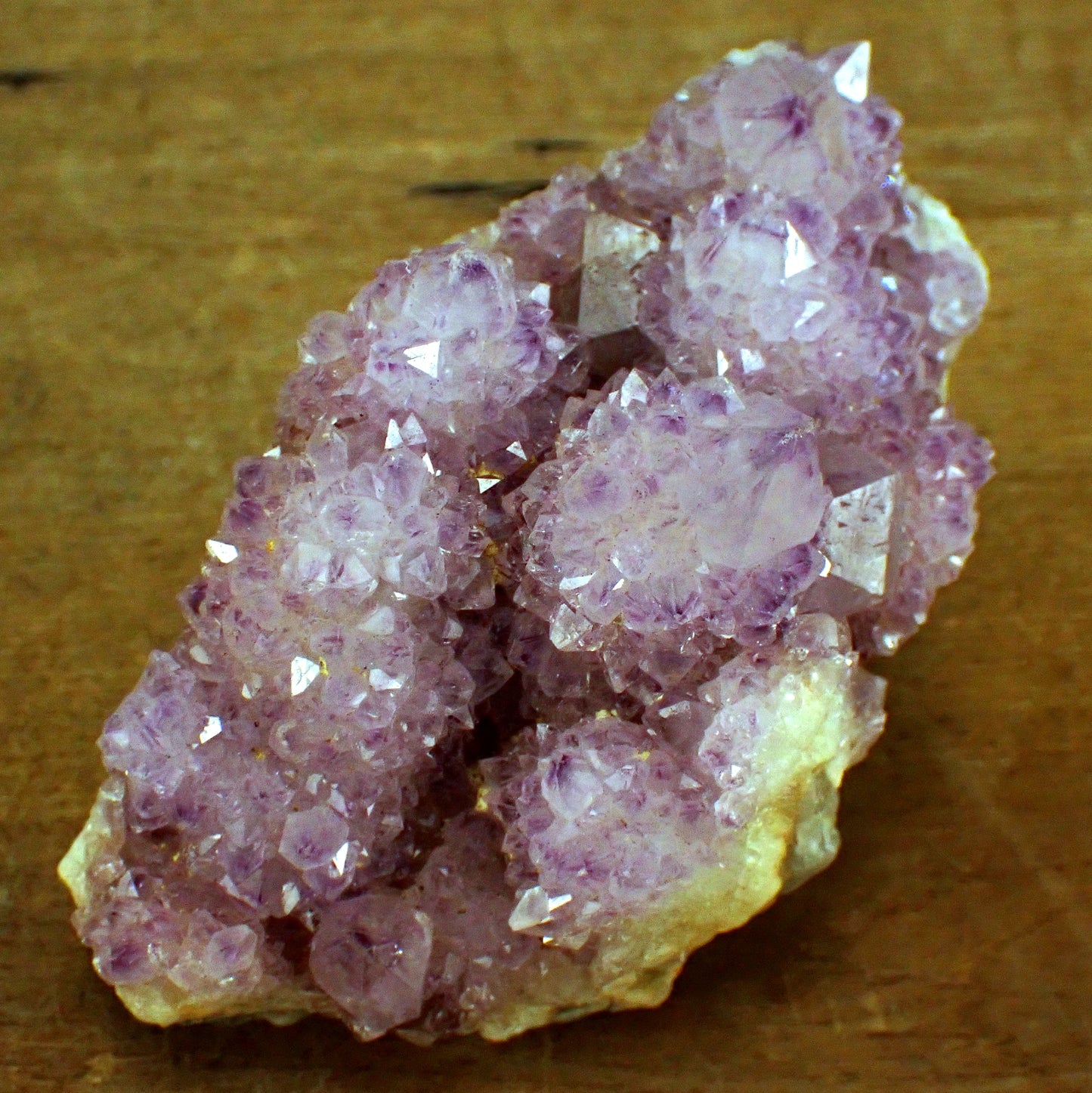 Kaktus-Amethyst aus Südafrika - 503,12g - 120x70x60mm