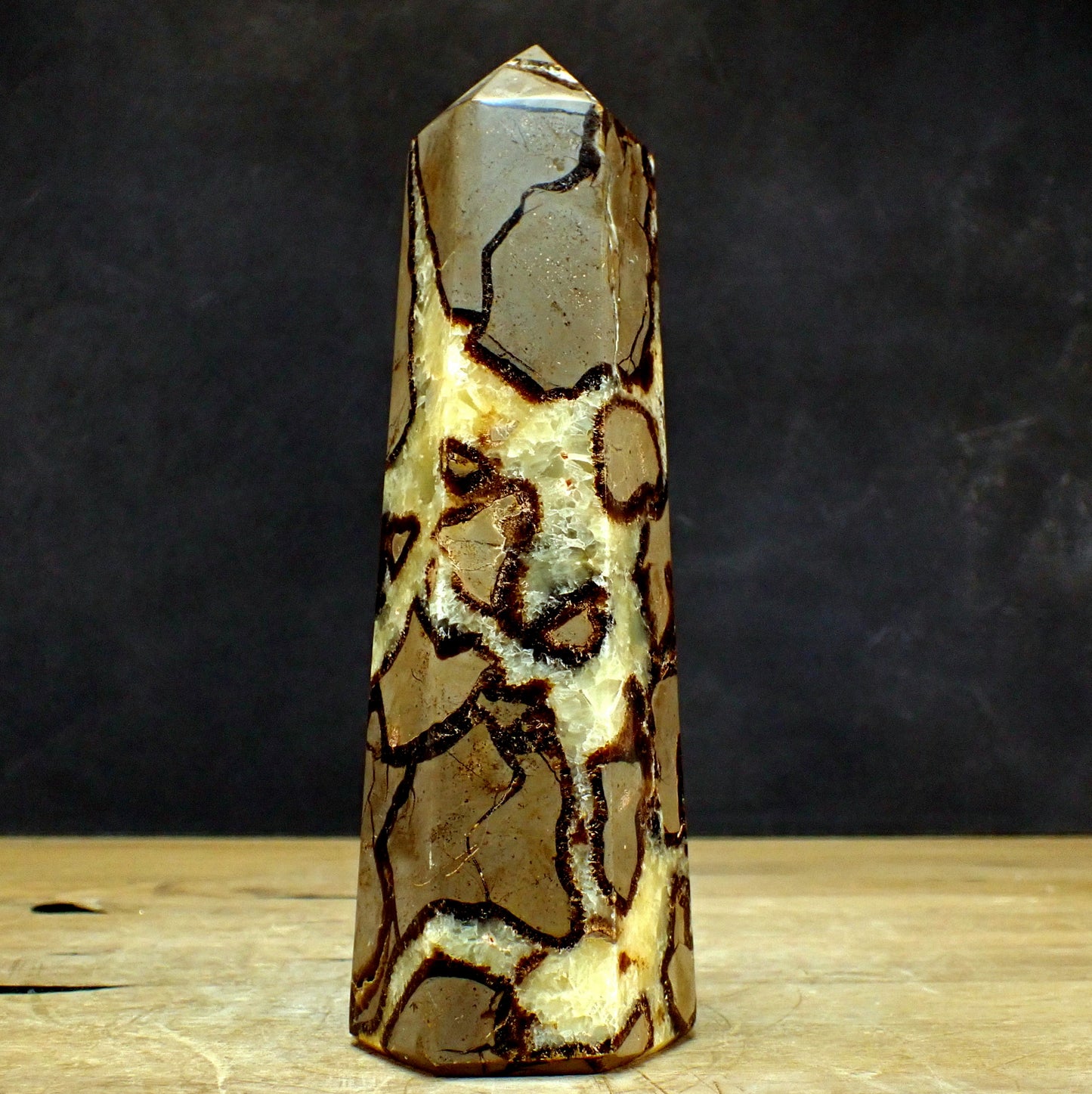 Septarien Obelisk - 1124,45g - 203 x 70 x 58mm