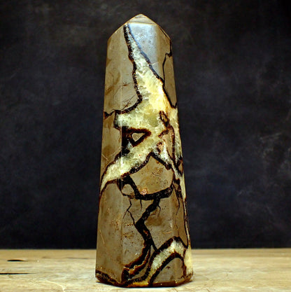 Septarien Obelisk - 1124,45g - 203 x 70 x 58mm