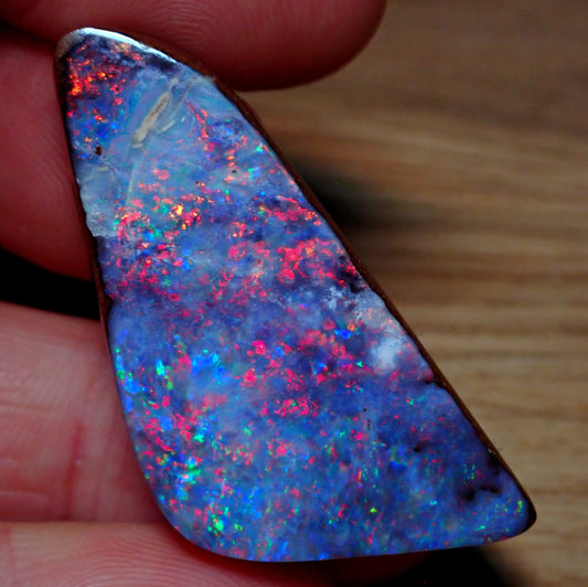 AAA+ Boulder Opal Anhänger aus Australien, 81.95 ct - 16,39g - 45,49 x 23,72 x 10,87mm