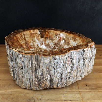 Sehr Große Schüssel - Waschbecken aus Versteinertes Holz - 59802,31g - 510 x 410 x 220mm