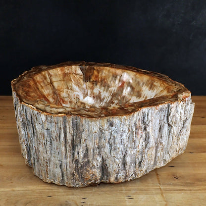 Sehr Große Schüssel - Waschbecken aus Versteinertes Holz - 59802,31g - 510 x 410 x 220mm