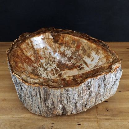 Sehr Große Schüssel - Waschbecken aus Versteinertes Holz - 59802,31g - 510 x 410 x 220mm