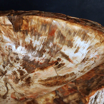 Sehr Große Schüssel - Waschbecken aus Versteinertes Holz - 59802,31g - 510 x 410 x 220mm