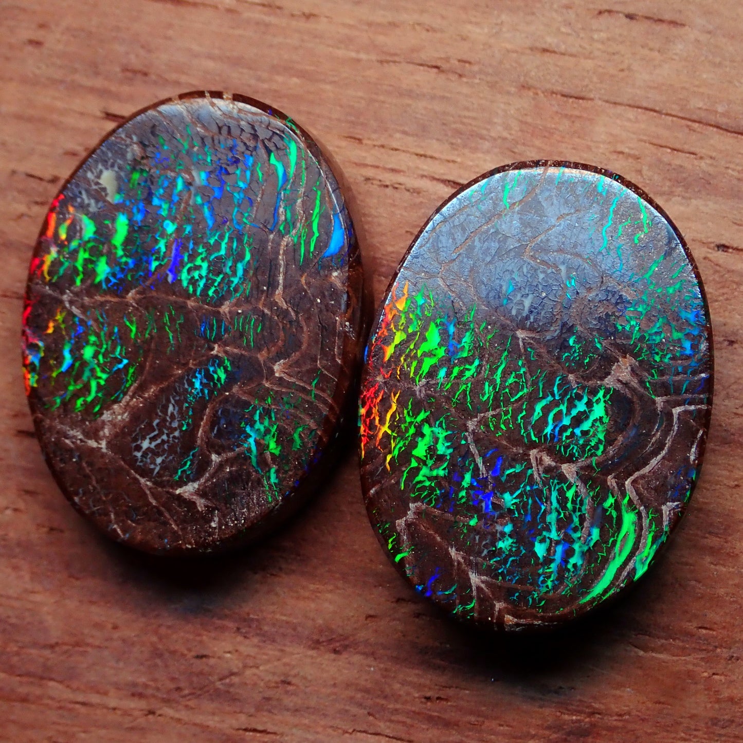 AAA+ Boulder Opal Ohrring Set aus Australien, 26.24ct