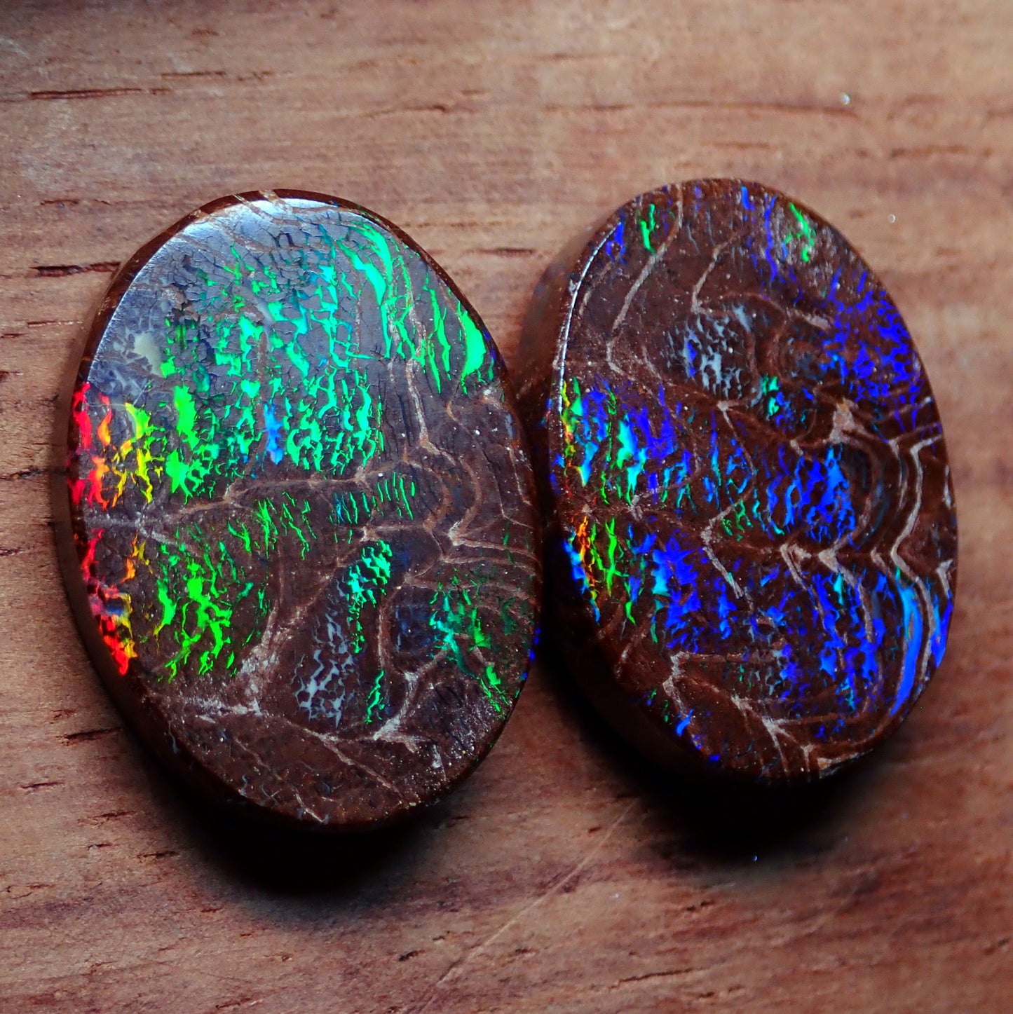 AAA+ Boulder Opal Ohrring Set aus Australien, 26.24ct