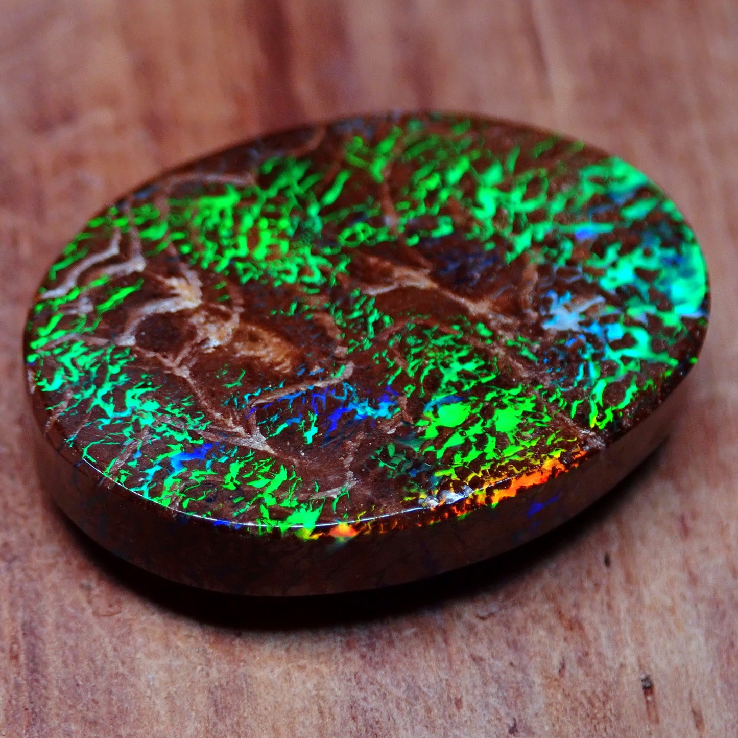 AAA+ Boulder Opal Ohrring Set aus Australien, 26.24ct