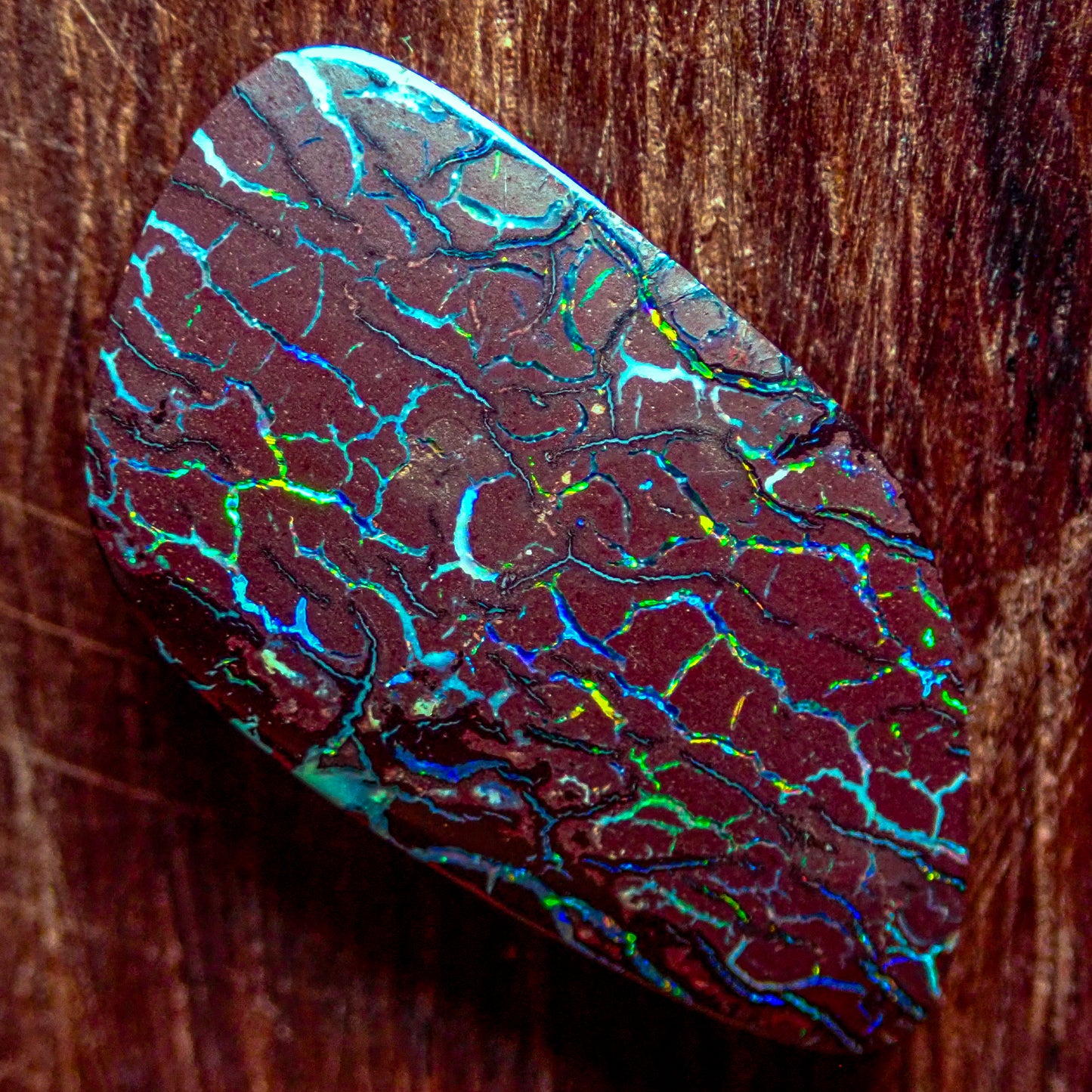 Natürlicher AAA+ Boulder Opal aus Australien, 7.495ct