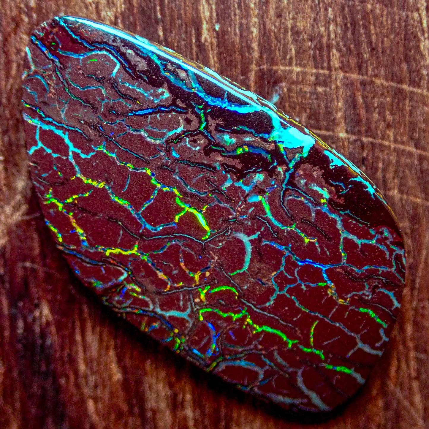 Natürlicher AAA+ Boulder Opal aus Australien, 7.495ct