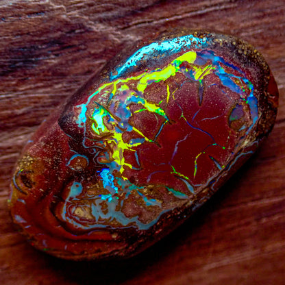 Natürlicher AAA+ Boulder Opal aus Australien, 2,341g - 11.705 ct