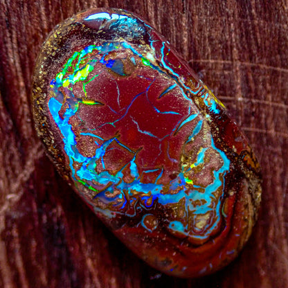 Natürlicher AAA+ Boulder Opal aus Australien, 2,341g - 11.705 ct