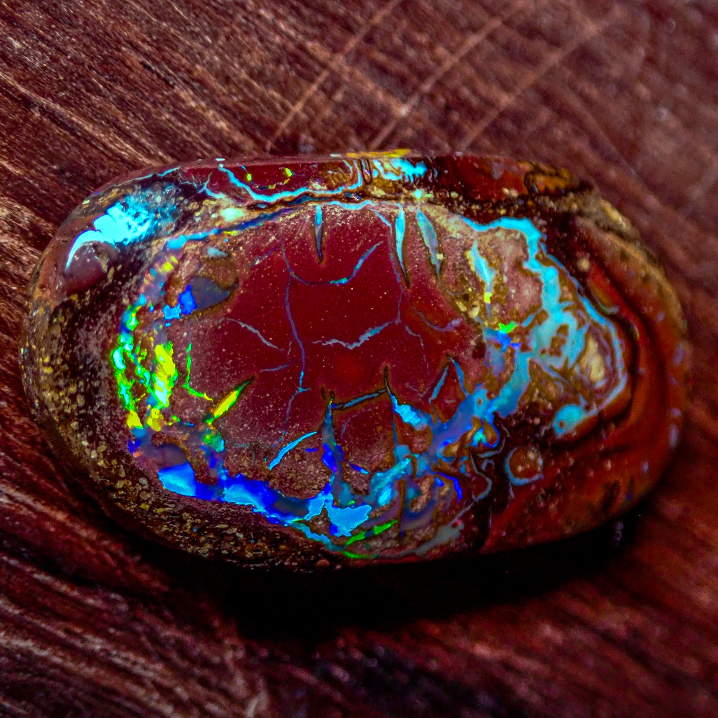 Natürlicher AAA+ Boulder Opal aus Australien, 2,341g - 11.705 ct