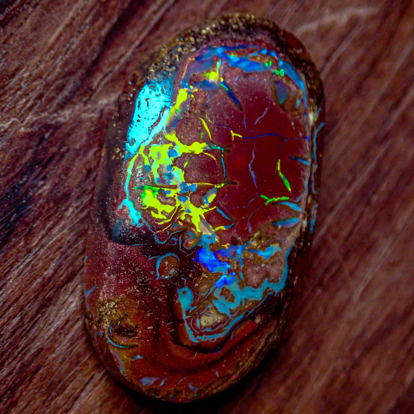 Natürlicher AAA+ Boulder Opal aus Australien, 2,341g - 11.705 ct