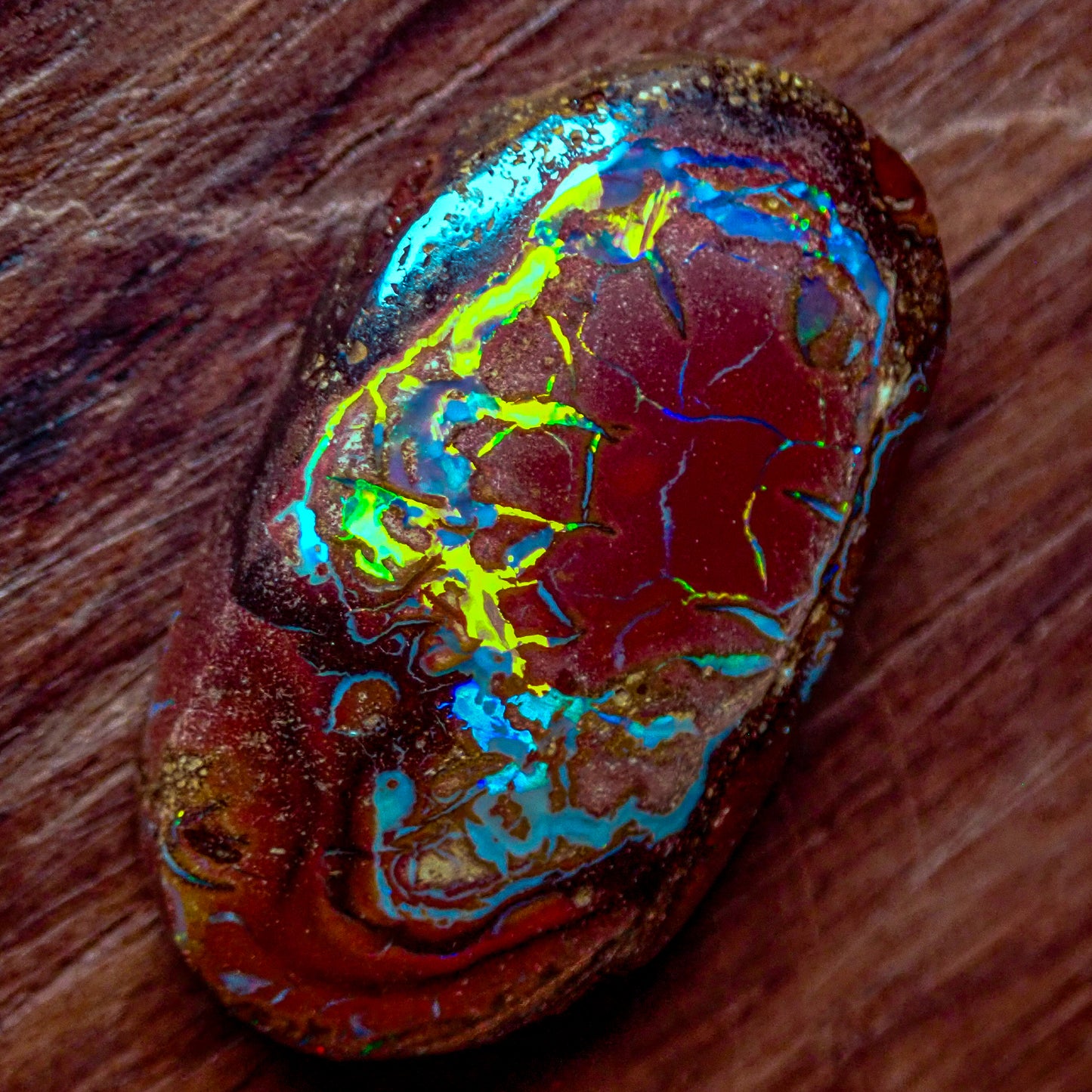 Natürlicher AAA+ Boulder Opal aus Australien, 2,341g - 11.705 ct