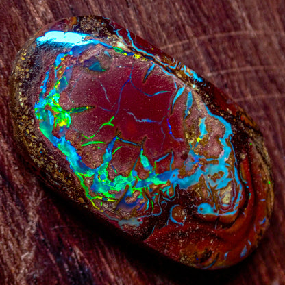 Natürlicher AAA+ Boulder Opal aus Australien, 2,341g - 11.705 ct