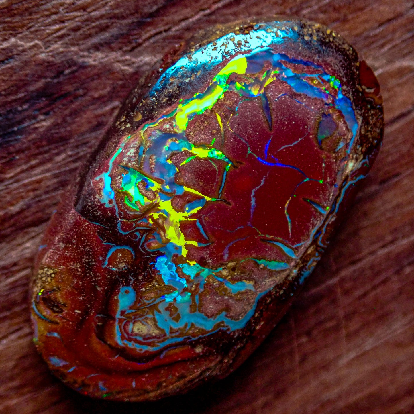 Natürlicher AAA+ Boulder Opal aus Australien, 2,341g - 11.705 ct