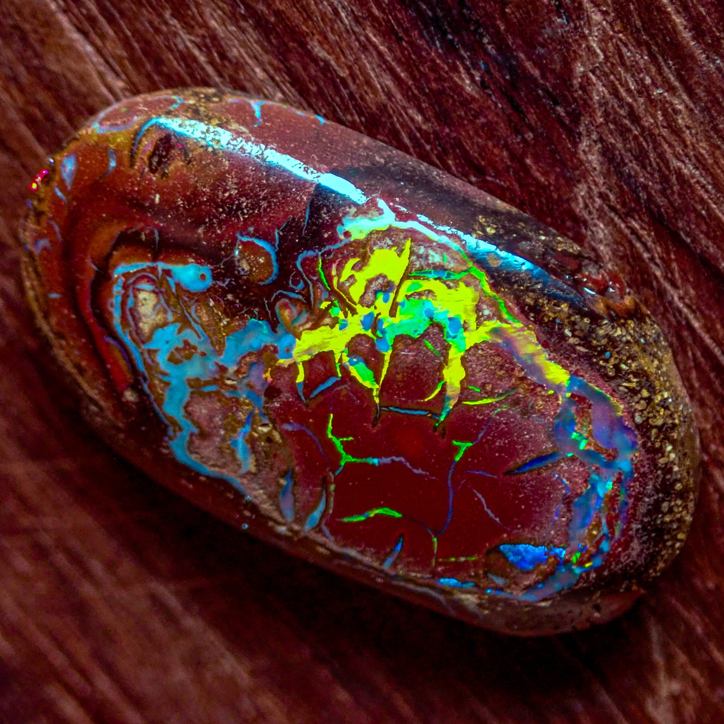 Natürlicher AAA+ Boulder Opal aus Australien, 2,341g - 11.705 ct