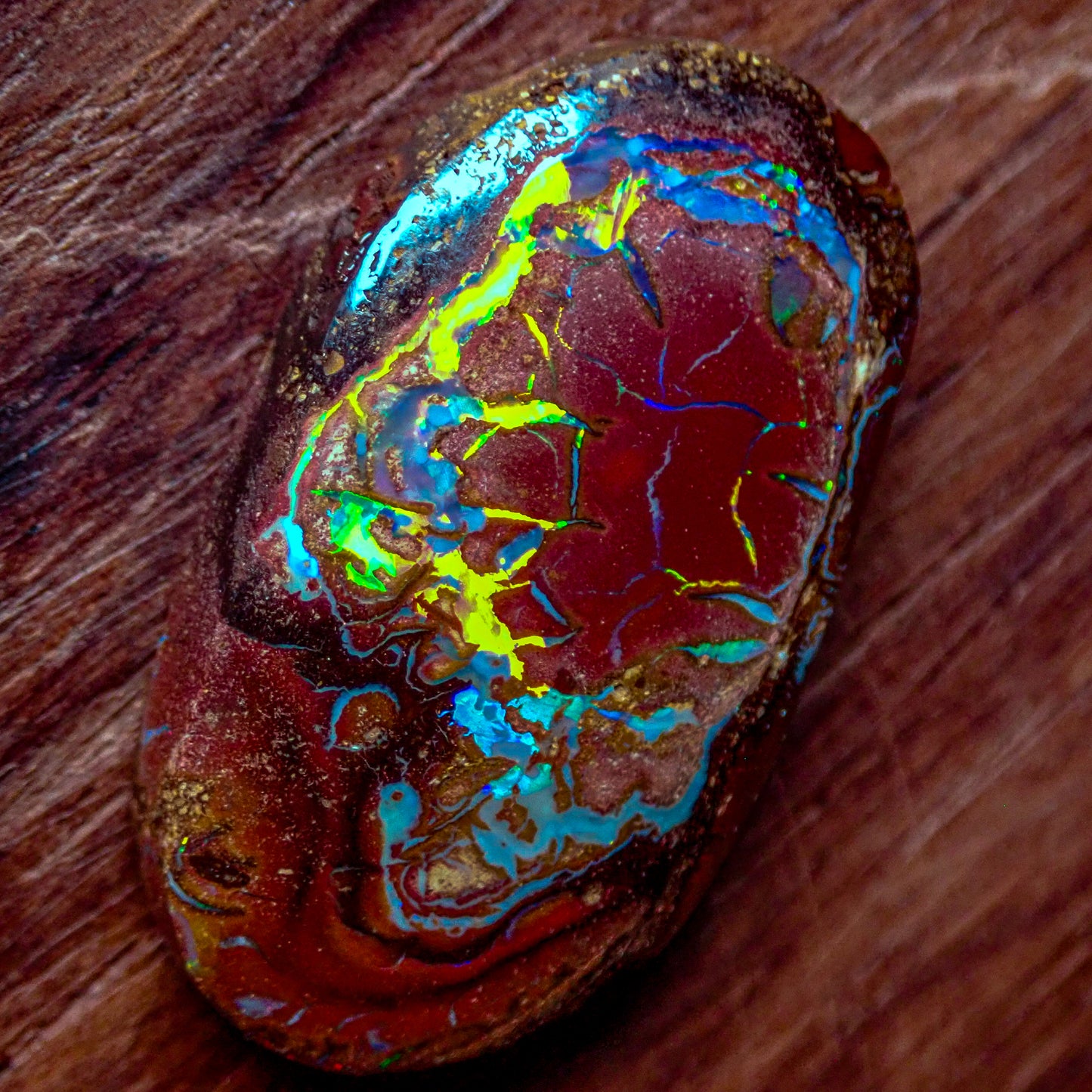 Natürlicher AAA+ Boulder Opal aus Australien, 2,341g - 11.705 ct