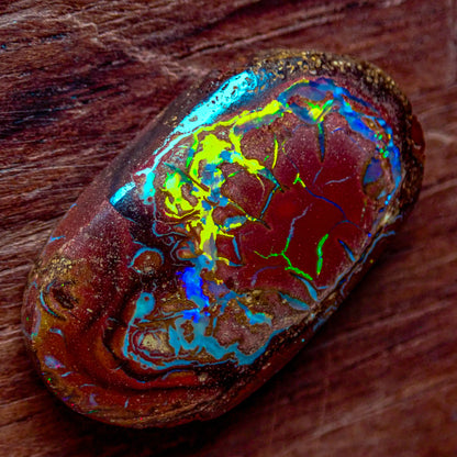 Natürlicher AAA+ Boulder Opal aus Australien, 2,341g - 11.705 ct