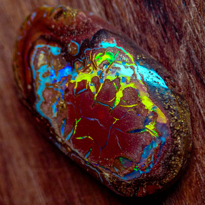 Natürlicher AAA+ Boulder Opal aus Australien, 2,341g - 11.705 ct