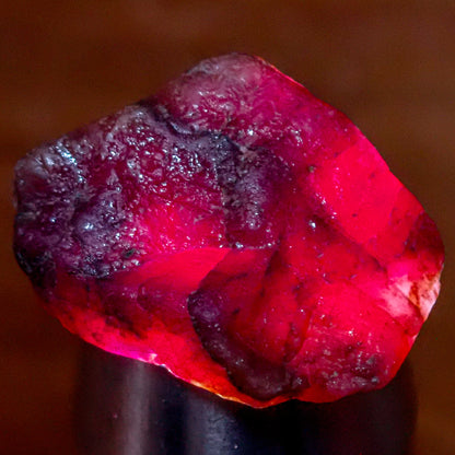 Natürlicher Roter Rubin aus Kenia - 47.9 ct