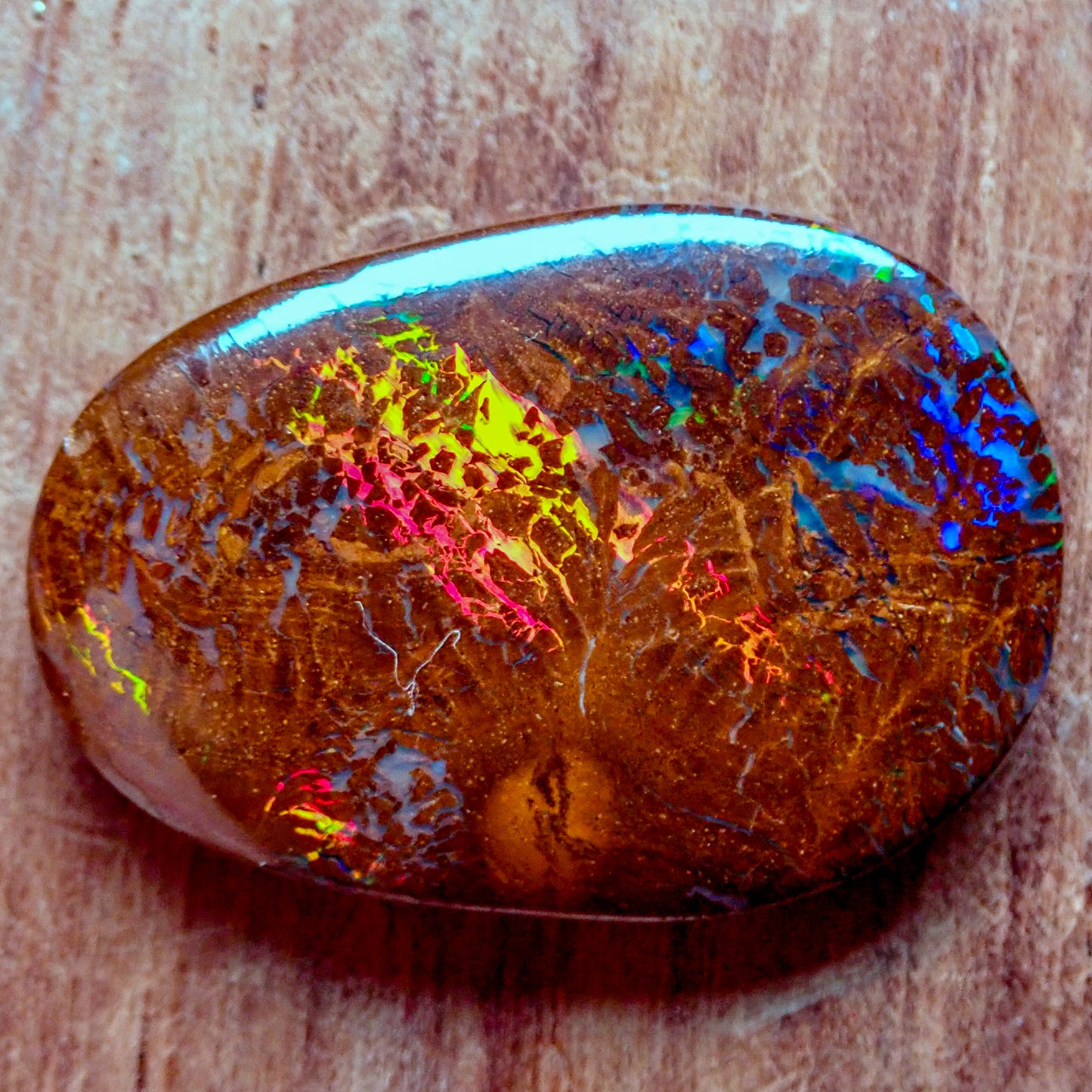 Natürlicher AAA+ Boulder Opal aus Australien Edelsteinqualität, 19.61ct