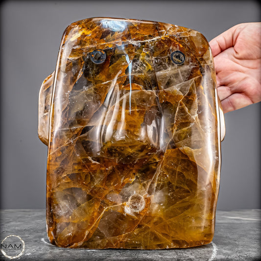 Healer-Quarz „Stone Head“ – Ein außergewöhnliches Sammlerstück -10701,26g