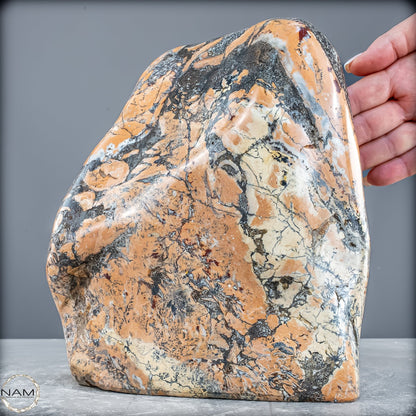 Natürliche Indonesische Picture Jasper-Kristall Freiform – 4627,17g