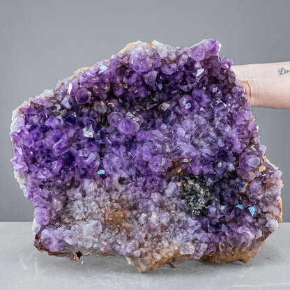 Riesen Kaktus-Amethyst aus Südafrika - 11765,71g