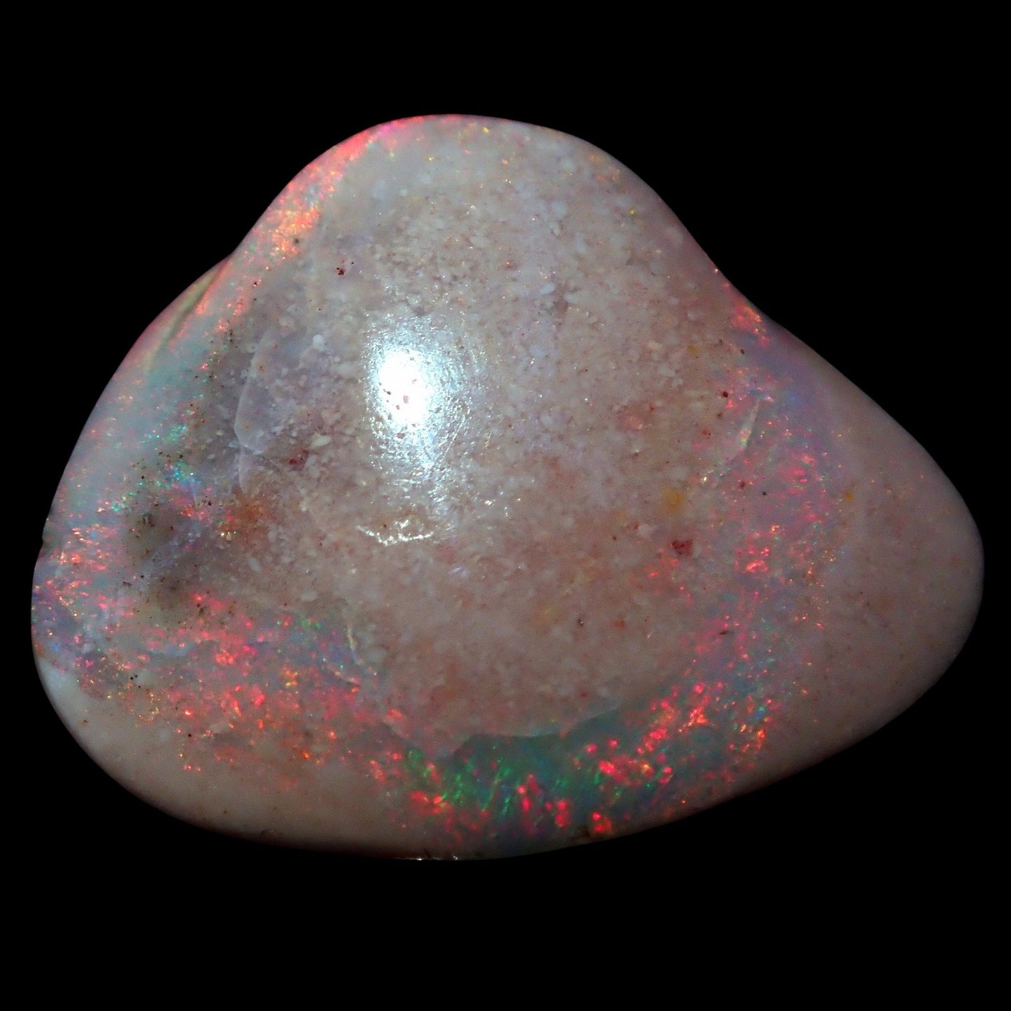 AAA+ Opalesierte Muschel aus Australien, 5,650ct