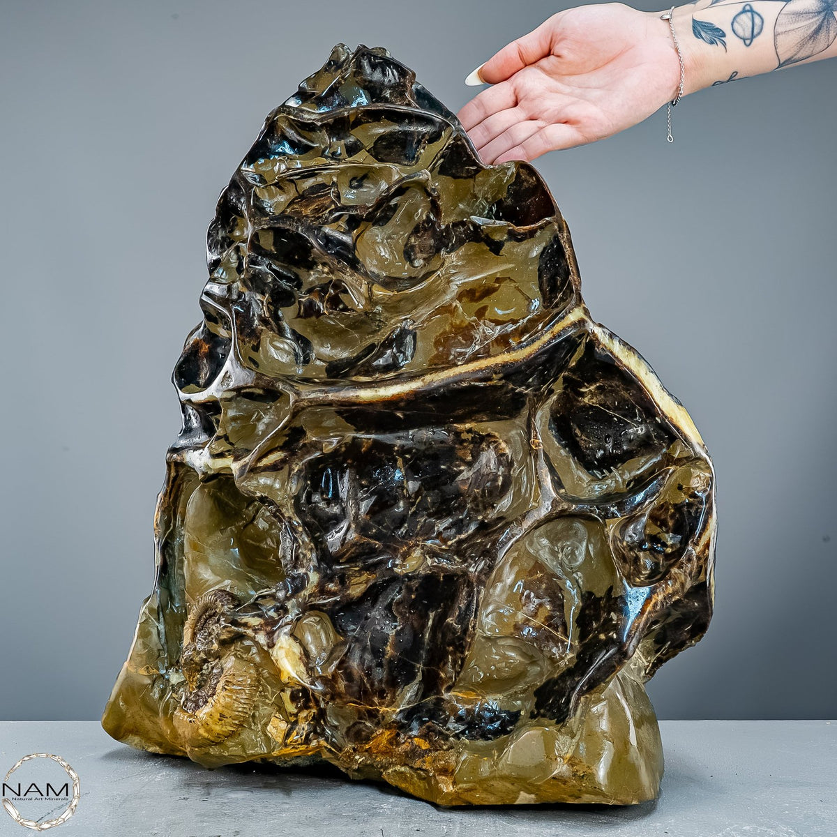 Septarien-Skulptur mit Ammonit aus Russland – 22569,66g