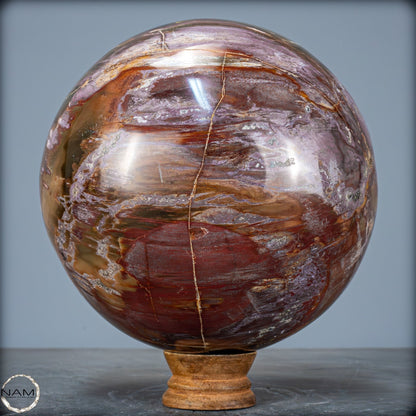 Natürliche Kristall-Kugel aus Versteinertem Holz  - 5089,72g - 170mm