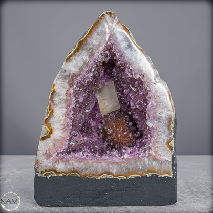Amethyst-Druse Kathedrale – Naturwunder aus Uruguay –1663,29g