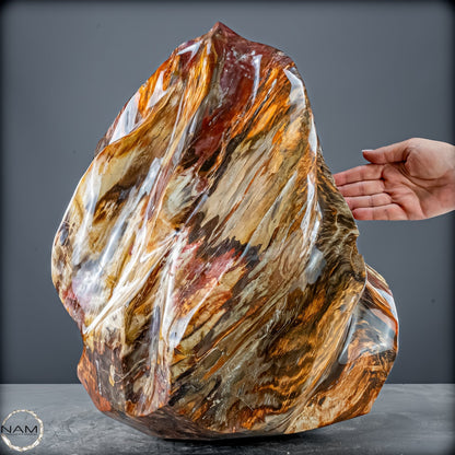 Natürliche Kristall-Flamme aus Versteinertem Holz  - 57231,11g