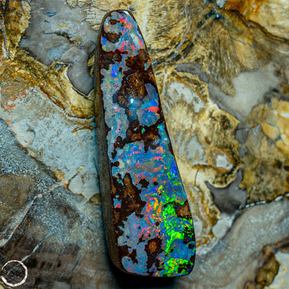 Natürlicher AAA+ Boulder Opal aus Australien Edelsteinqualität - 14,846g