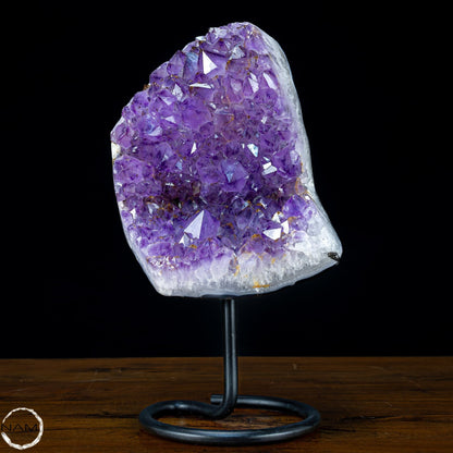 Natürliche Amethyst-Kristalle/Druse auf Ständer - 5093,15g