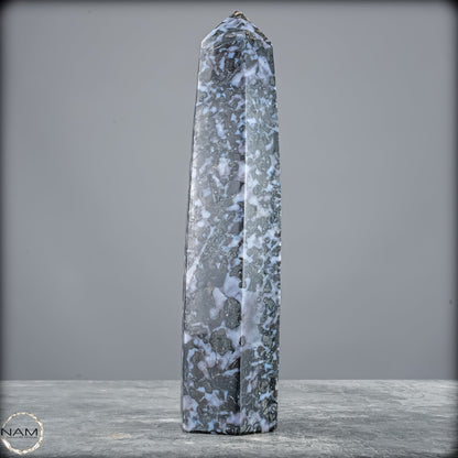 Natürlicher Merlinit (Gabbro) Kristall Obelisk - 821,77g