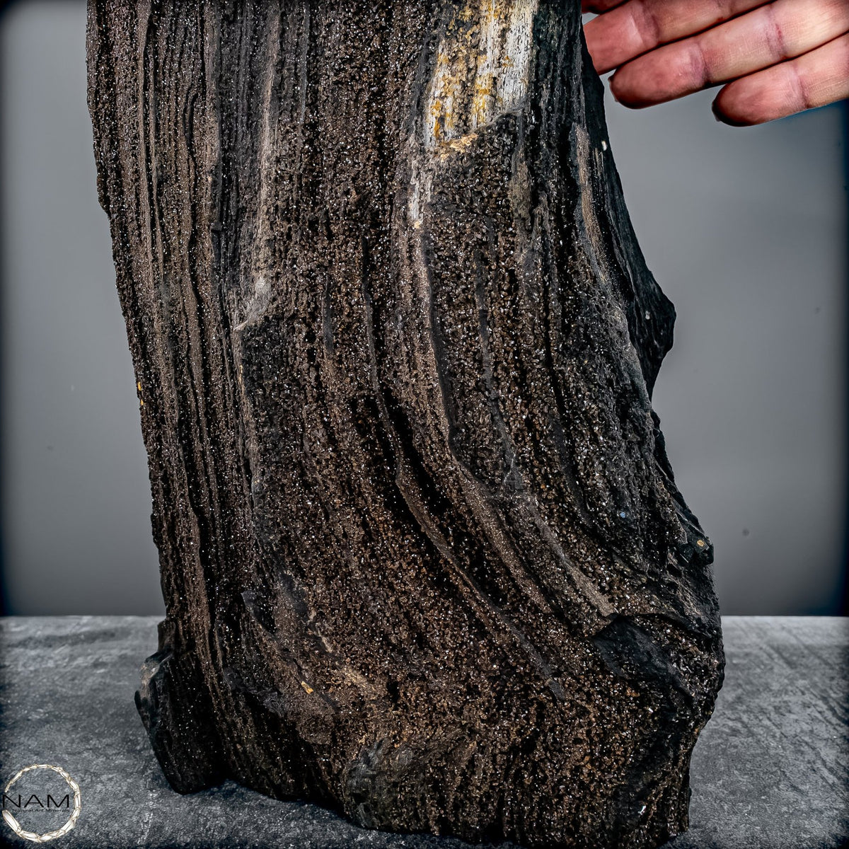 Feenholz – Ein außergewöhnliches Naturkunstwerk  – 7174,96g